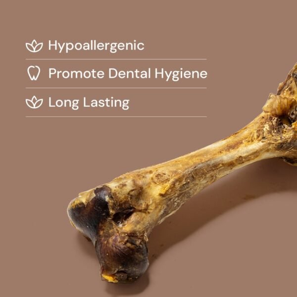Jumbo Ostrich Bone
