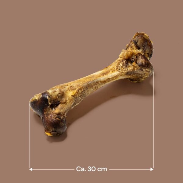 Jumbo Ostrich Bone - Image 2