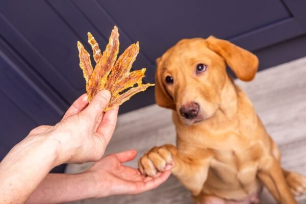Duck Jerky 150g - Image 3